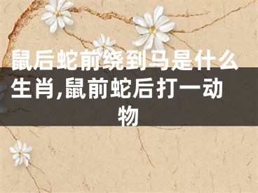 鼠后蛇前绕到马是什么生肖,鼠前蛇后打一动物