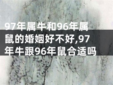 97年属牛和96年属鼠的婚姻好不好,97年牛跟96年鼠合适吗