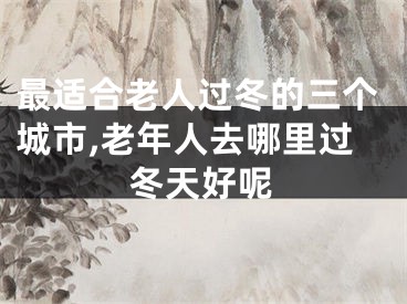 最适合老人过冬的三个城市,老年人去哪里过冬天好呢