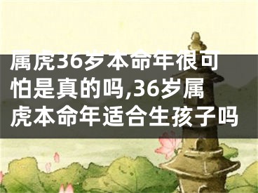 属虎36岁本命年很可怕是真的吗,36岁属虎本命年适合生孩子吗