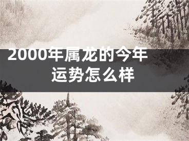 2000年属龙的今年运势怎么样