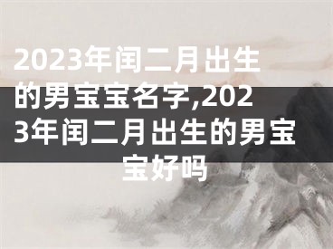 2023年闰二月出生的男宝宝名字,2023年闰二月出生的男宝宝好吗