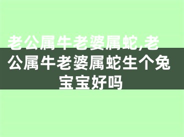 老公属牛老婆属蛇,老公属牛老婆属蛇生个兔宝宝好吗