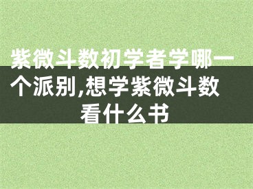 紫微斗数初学者学哪一个派别,想学紫微斗数看什么书
