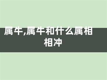 属牛,属牛和什么属相相冲