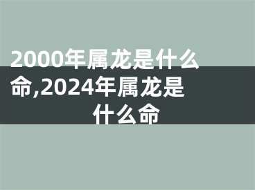 2000年属龙是什么命,2024年属龙是什么命