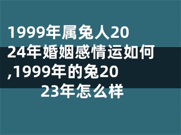 1999年属兔人2024年婚姻感情运如何,1999年的兔2023年怎么样