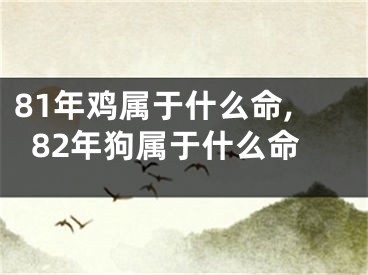 81年鸡属于什么命,82年狗属于什么命