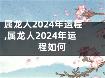 属龙人2024年运程,属龙人2024年运程如何