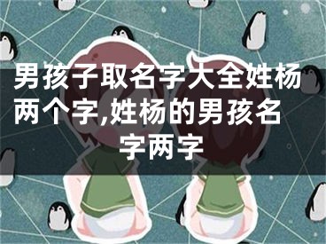 男孩子取名字大全姓杨两个字,姓杨的男孩名字两字