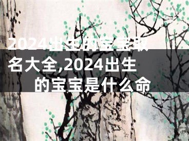 2024出生的宝宝取名大全,2024出生的宝宝是什么命