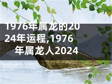 1976年属龙的2024年运程,1976年属龙人2024