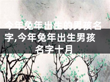 今年兔年出生的男孩名字,今年兔年出生男孩名字十月
