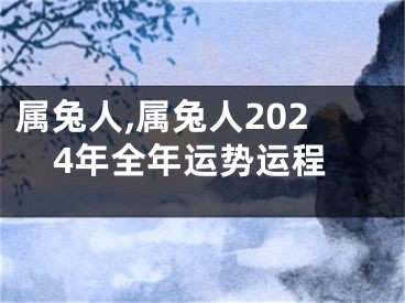 属兔人,属兔人2024年全年运势运程