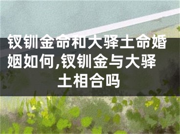 钗钏金命和大驿土命婚姻如何,钗钏金与大驿土相合吗