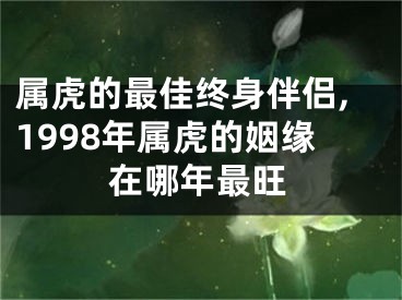 属虎的最佳终身伴侣,1998年属虎的姻缘在哪年最旺