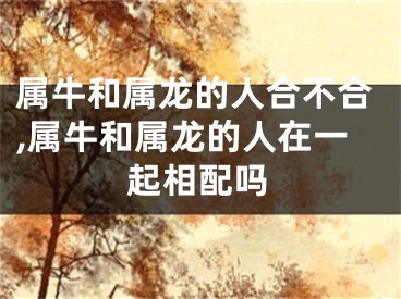 属牛和属龙的人合不合,属牛和属龙的人在一起相配吗