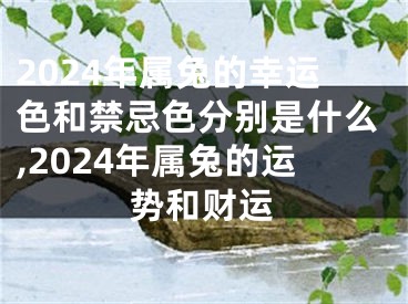 2024年属兔的幸运色和禁忌色分别是什么,2024年属兔的运势和财运