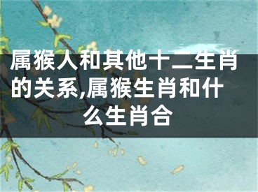 属猴人和其他十二生肖的关系,属猴生肖和什么生肖合