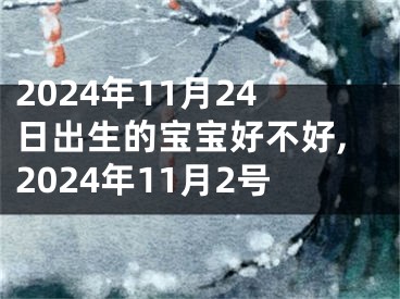 2024年11月24日出生的宝宝好不好,2024年11月2号