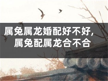 属兔属龙婚配好不好,属兔配属龙合不合