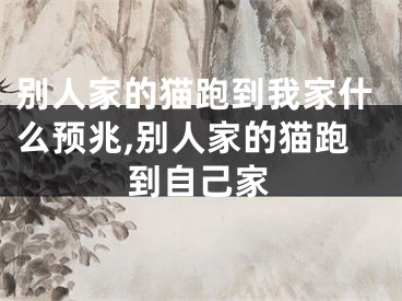 别人家的猫跑到我家什么预兆,别人家的猫跑到自己家
