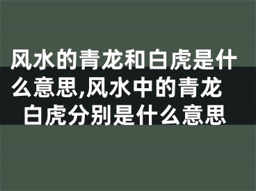 风水的青龙和白虎是什么意思,风水中的青龙白虎分别是什么意思