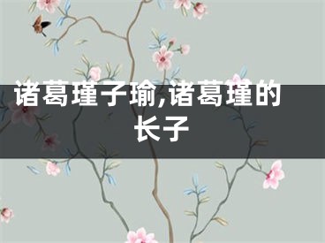 诸葛瑾子瑜,诸葛瑾的长子
