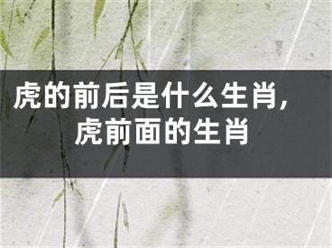 虎的前后是什么生肖,虎前面的生肖