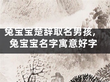 兔宝宝楚辞取名男孩,兔宝宝名字寓意好字