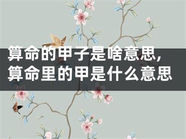 算命的甲子是啥意思,算命里的甲是什么意思