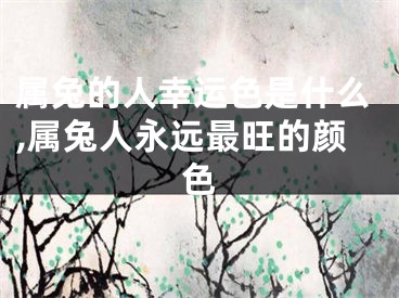 属兔的人幸运色是什么,属兔人永远最旺的颜色