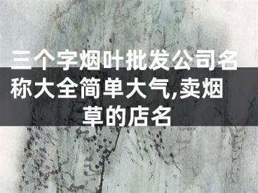 三个字烟叶批发公司名称大全简单大气,卖烟草的店名
