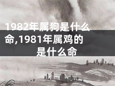 1982年属狗是什么命,1981年属鸡的是什么命