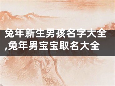 兔年新生男孩名字大全,兔年男宝宝取名大全
