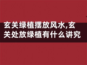 玄关绿植摆放风水,玄关处放绿植有什么讲究