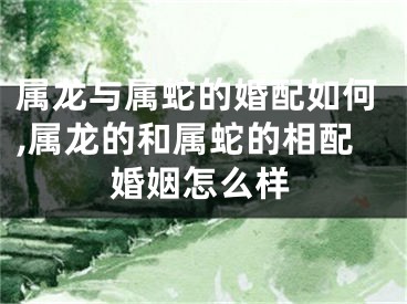 属龙与属蛇的婚配如何,属龙的和属蛇的相配婚姻怎么样