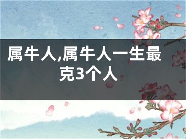 属牛人,属牛人一生最克3个人