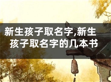 新生孩子取名字,新生孩子取名字的几本书
