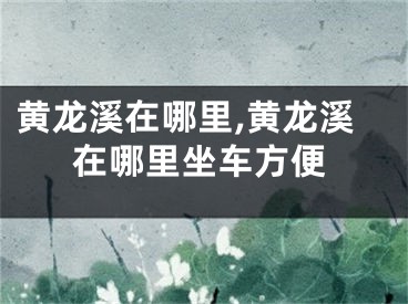 黄龙溪在哪里,黄龙溪在哪里坐车方便