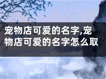 宠物店可爱的名字,宠物店可爱的名字怎么取