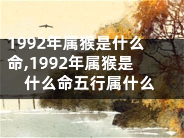 1992年属猴是什么命,1992年属猴是什么命五行属什么