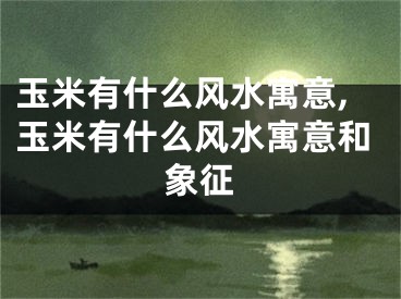 玉米有什么风水寓意,玉米有什么风水寓意和象征