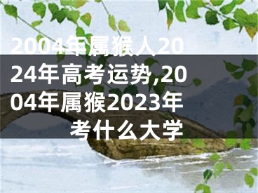 2004年属猴人2024年高考运势,2004年属猴2023年考什么大学