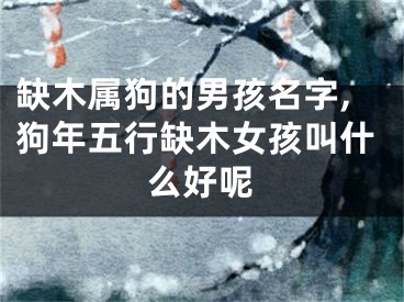 缺木属狗的男孩名字,狗年五行缺木女孩叫什么好呢