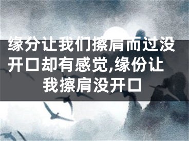 缘分让我们擦肩而过没开口却有感觉,缘份让我擦肩没开口