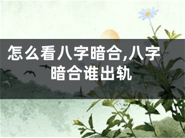 怎么看八字暗合,八字暗合谁出轨