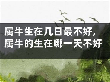 属牛生在几日最不好,属牛的生在哪一天不好