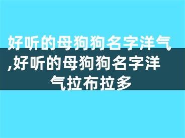 好听的母狗狗名字洋气,好听的母狗狗名字洋气拉布拉多