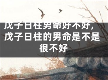 戊子日柱男命好不好,戊子日柱的男命是不是很不好